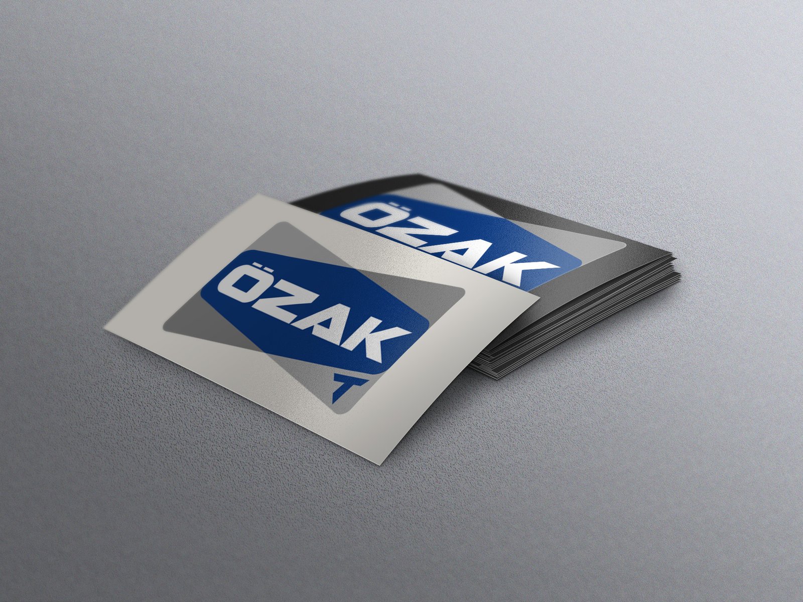 Özak Turnike Logo Tasarımı